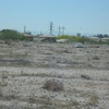 Photo 2 related to Silverbell Landfill project.